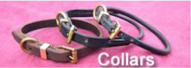 Dog Collars