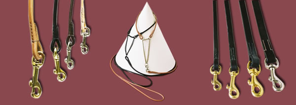 leadsbanner