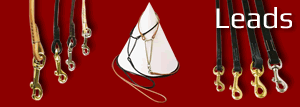 leads-w